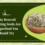 Organic Broccoli Sprouting Seeds online in India
