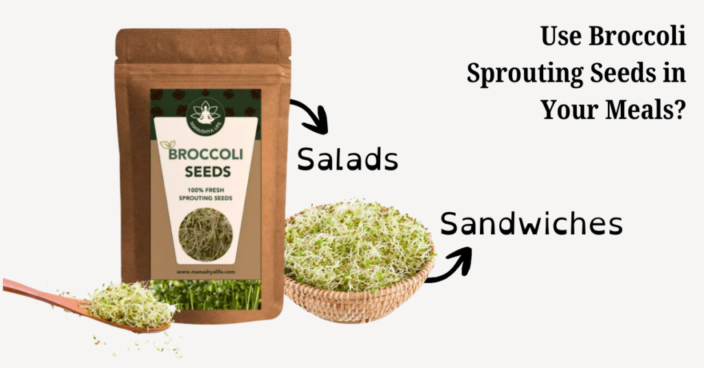 Organic Broccoli Sprouting Seeds online in India